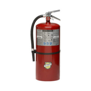BUCKEYE ABC DRY CHEMICAL 20LB FIRE EXTINGUISHER W/ WALL HOOK