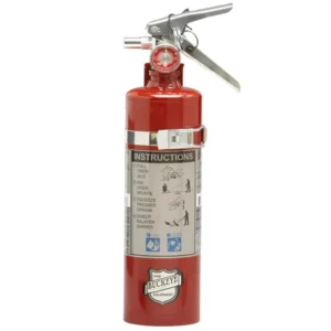 Buckeye 2.5 lb. Standard Dry Chemical Fire Extinguisher with DOT Vehicle Bracket - Rechargeable Untagged - UL Rating 10-B:C
